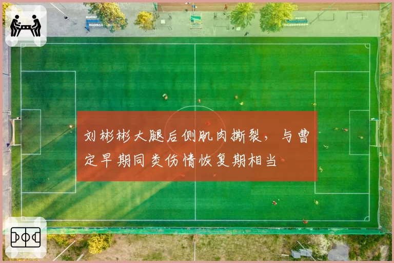 刘彬彬大腿后侧肌肉撕裂,与曹赟定早期同类伤情恢复期相当